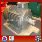 three phase induction motor-