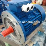 SAL Aluminum Series Three-Phase Electric Motor-