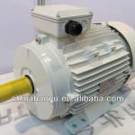 Y2 series AC induction motor-
