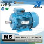 IE2 230V AC Three Phase Electric Motor