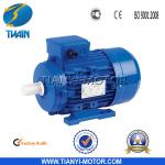 Light Weight MS Aluminum Body Three Phase AC Motors