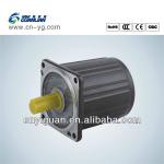 New Guanlian AC Asynchronous Motor