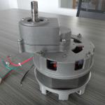 Hurom slow juicer AC motor