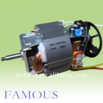 Universal motor-