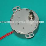 micro synchronous gear motor 110/220V