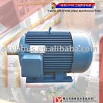 single phase electric motor