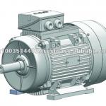 CAG HAD Three Phase Multispeed AC Motor-