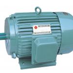 Y series three phase induction motor-