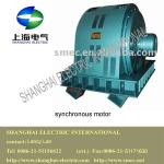 synchronous motor