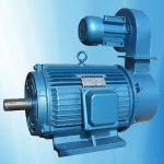 YLJ series AC electric motor-