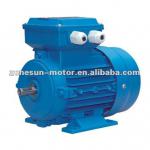 MS Series Three-Phase Induction Motor