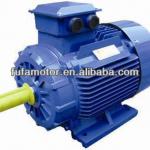 Squirrel cage type three phase induction motors