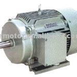 three phase induction electric motor