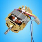Universal motor/AC motor-