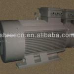 YR3 Series Low-voltage Wound Rotor Motor (IP55)-