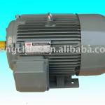 Y series electric motor