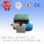 single phase induction 220V ac electric motor-