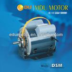 DSM Series AC Electrical Motors(DSM-370)