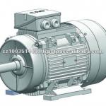 CAG IE 2 Three Phase Aluminium Frame Mini Electric Motor