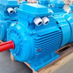 SM Series Cast Iron Electric Motor