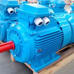 SM Series Cast Iron Electric Motor-