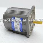 micro motor, AC , from 6w--200w, high torque, low noise