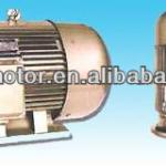 Y series three-phase industry motor