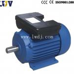 YL Two-value Capacitor Single-phase Motor-