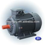 YE2 series three phase ac induction electric motor for sale