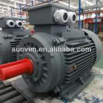 SM Series 3 phase Induction Motor