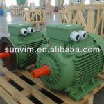 45kw IE2 high efficiency elctric motor