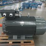 315KW YE2 Series AC Induction Motor