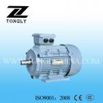 Y2 Series Three-phase Induction Motor