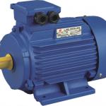 1.5kw Y2-100L-6 Three Phase Induction Motor Price 950RPM Class F IP55