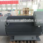 195KW Marine Three Phase Induction Motor