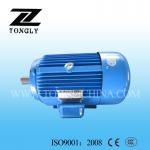 Y Series Three-phase Induction Motor