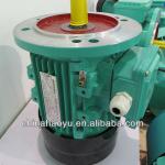 high torque low rpm electric motor-