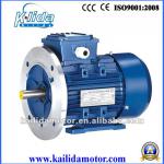 Y3 Series Electrical motor-