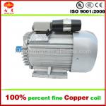 YL Series 220V AC Electric Motor 230V