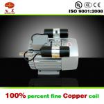 Foshan Professional Small Electric Vibration Motor