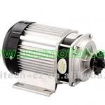 350w to 750w electric trike motor brushless geared-