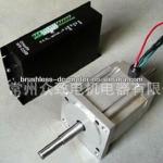 80mm 36V 48V 220V 310V 3000RPM brushless DC motor