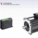 120DWY Series DC Variable frequency Motor
