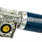 24V 125W DC Motor with Worm Gearbox-