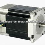 60mm 36V 48V 310V 3000RPM brushless DC motor-
