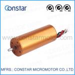 Outrunner or inrunner micro DC brushless motor