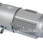 electric hoist motor