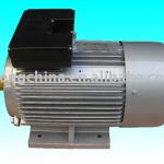 Capacitor start motor-YL112M2-6