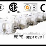 Y2, IEC NEMA standard AC induction motors IE1,IE2,IE3,EFF1,EFF2,EPACT,PREMIUM