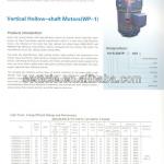 Vertical Hollow-Shaft Motor / VHS Motor-